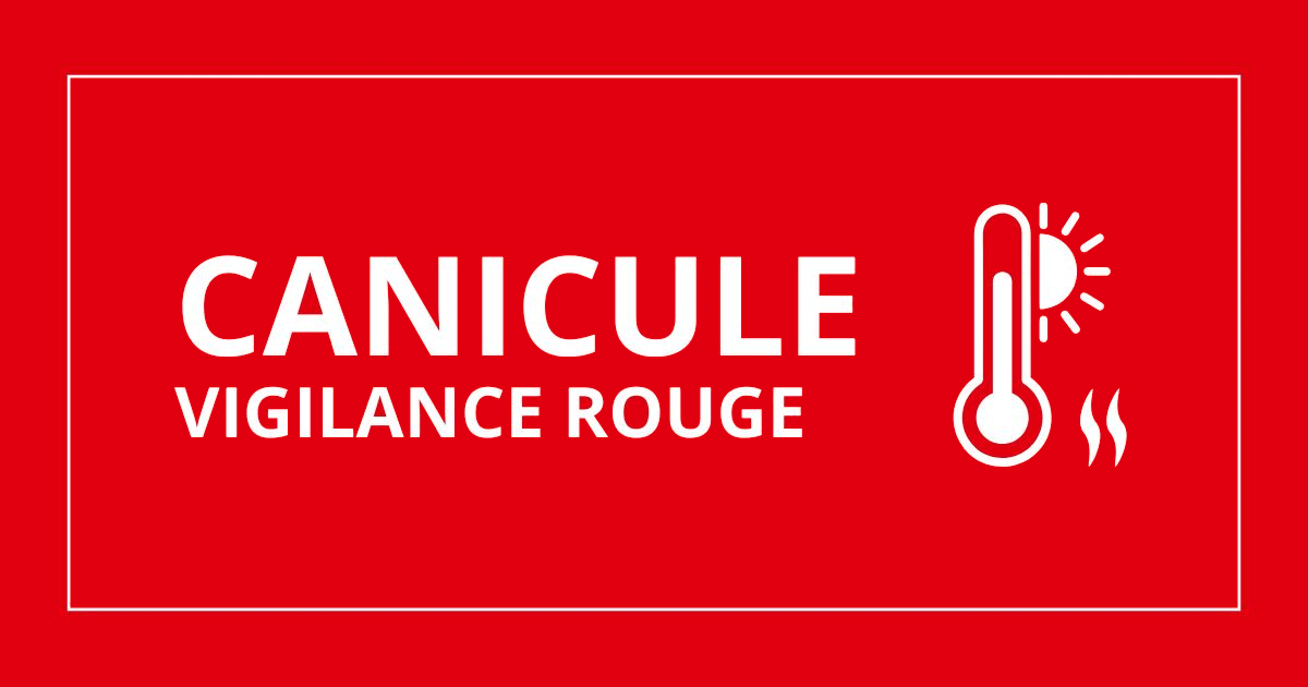 canicule